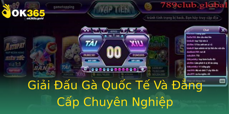 Giải Đấu Gà Quốc Tế Và Đẳng Cấp Chuyên Nghiệp
