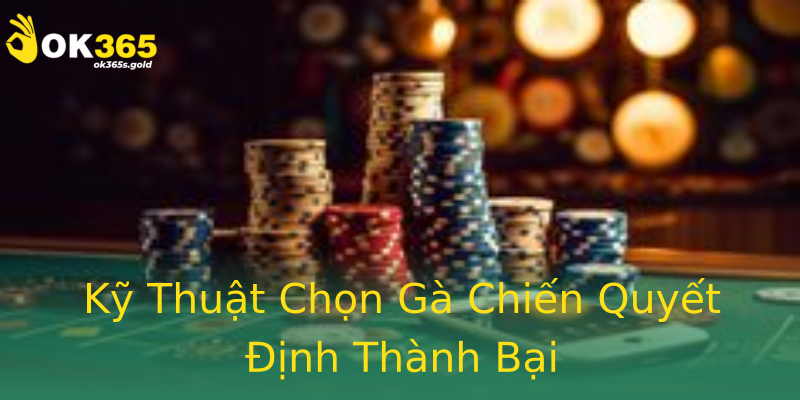 Kỹ Thuật Chọn Gà Chiến Quyết Định Thành Bại Kỹ Thuật Chọn Gà Chiến Quyết Định Thành Bại