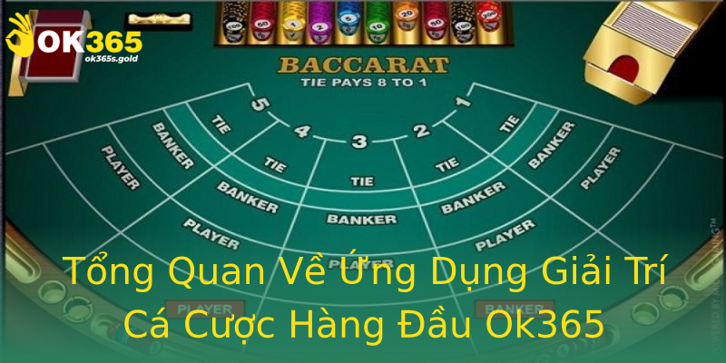 Tổng Quan Về Ứng Dụng Giải Trí Cá Cược Hàng Đầu Ok365